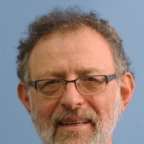 Retrato de Ira Pohl