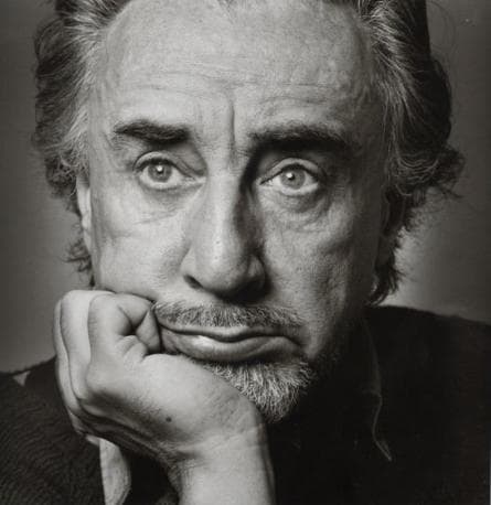 Retrato de Romain Gary