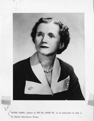 Retrato de Rachel Carson