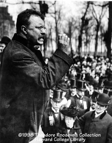 Retrato de Theodore Roosevelt