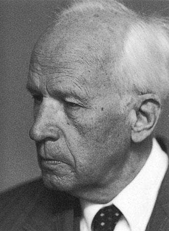 Retrato de Ernst Nolte
