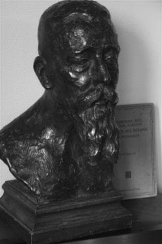 Retrato de Benno Rüttenauer