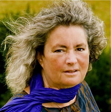 Retrato de Starhawk