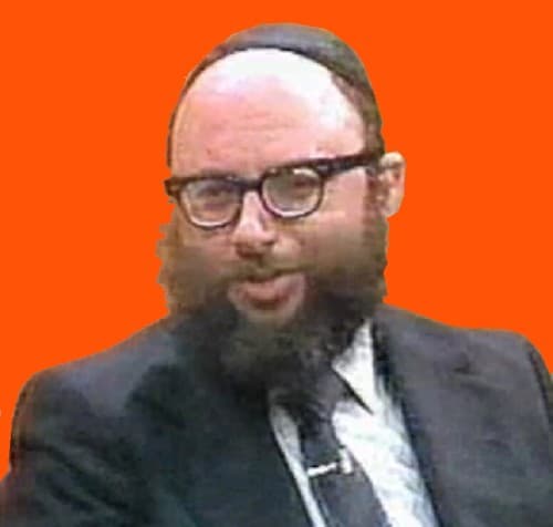 Retrato de Aryeh Kaplan