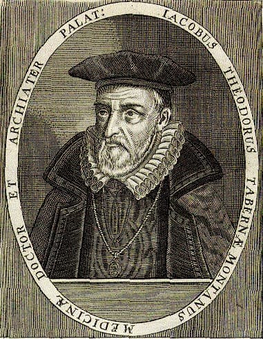 Retrato de Jacobus Theodorus Tabernaemontanus