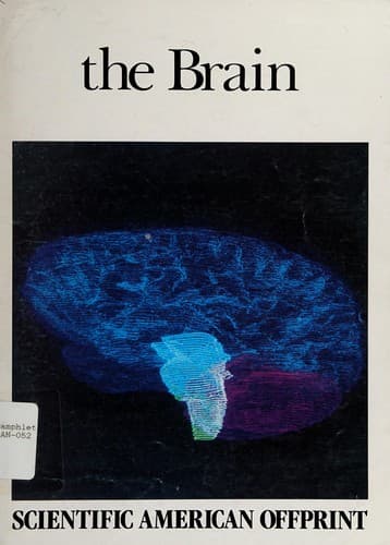 Tapa de The Brain