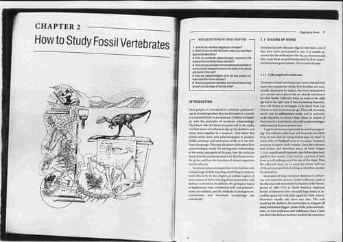 Tapa de Vertebrate Paleontology