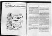 Tapa de Vertebrate Paleontology