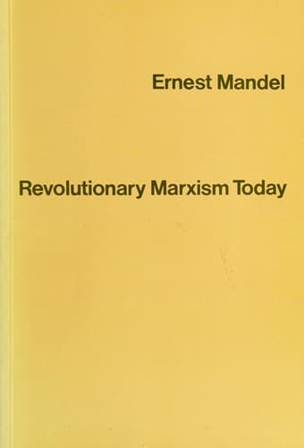 Tapa de Revolutionary Marxism Today