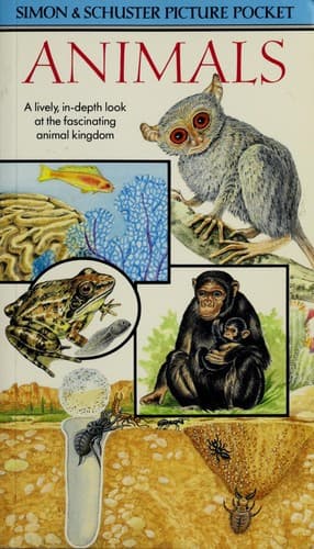 Tapa de Animals