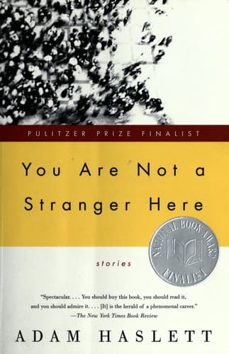 Tapa de You are not a stranger here.