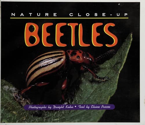 Tapa de Beetles