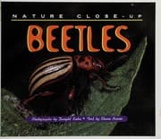 Tapa de Beetles