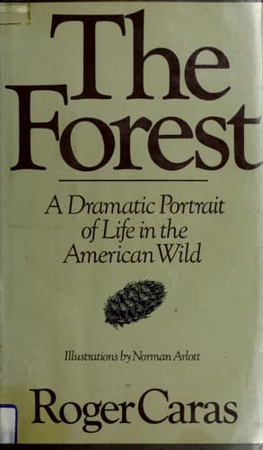 Tapa de The forest