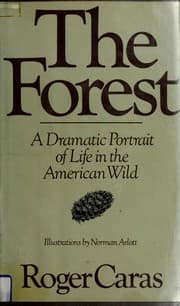 Tapa de The forest