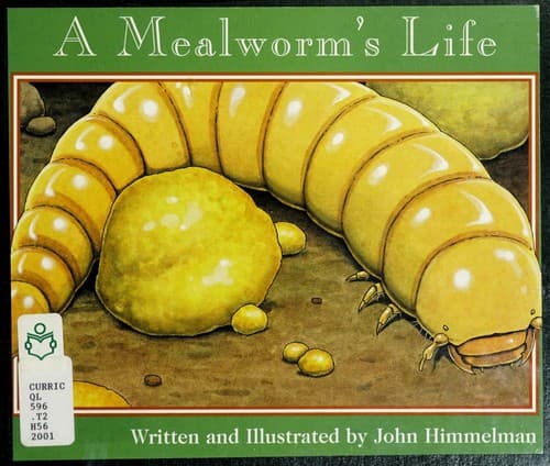 Tapa de A Mealworm’s Life