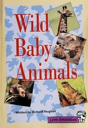 Tapa de Wild Baby Animals (Celebrations)