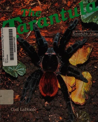 Tapa de The tarantula