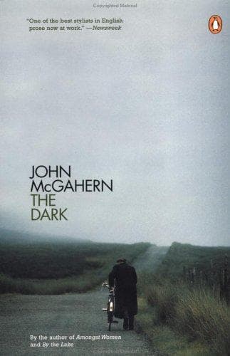 Tapa de The dark