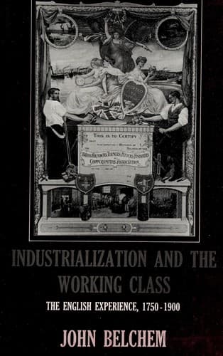 Tapa de Industrialization and the working class