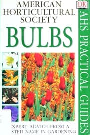 Tapa de Bulbs