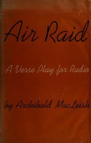 Tapa de Air raid