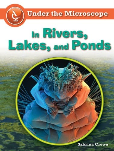 Tapa de In rivers, lakes, and ponds