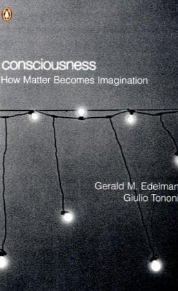 Tapa de Consciousness