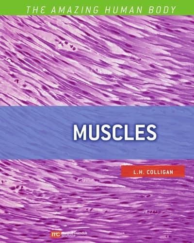 Tapa de Muscles