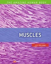 Tapa de Muscles