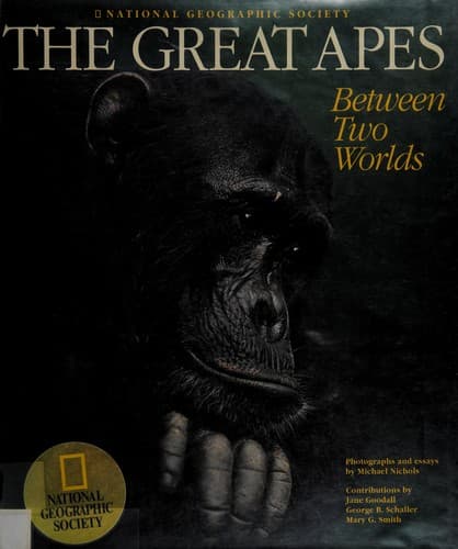 Tapa de The great apes