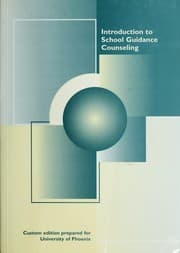 Tapa de Introduction to school guidance counseling