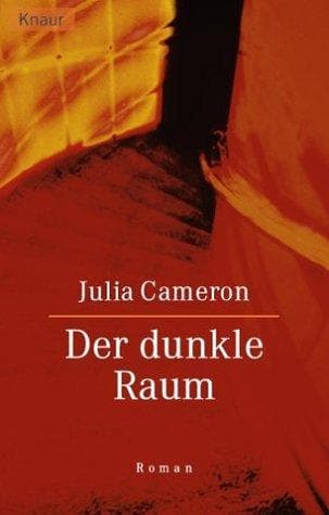 Tapa de Der dunkle Raum.