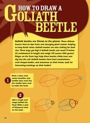 Tapa de Insects you can draw