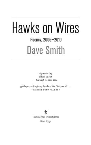Tapa de Hawks on wires