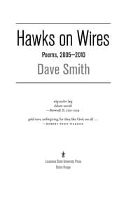 Tapa de Hawks on wires