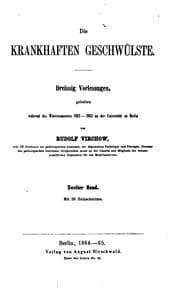Tapa de Die Krankhaften Geschwülste v.2, 1864/65