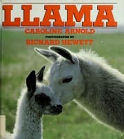 Tapa de Llama