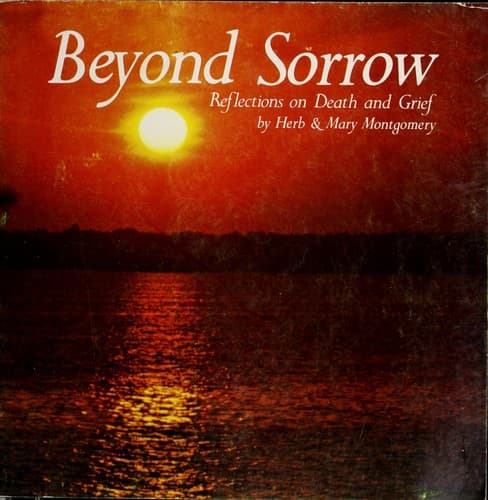 Tapa de Beyond sorrow