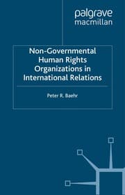 Tapa de Non-governmental human rights organizations in international relations