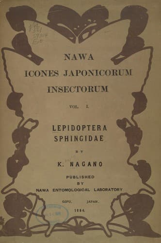 Tapa de Lepidoptera, Sphingidae