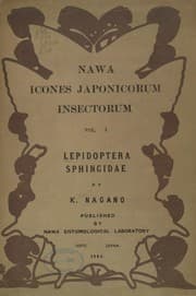 Tapa de Lepidoptera, Sphingidae