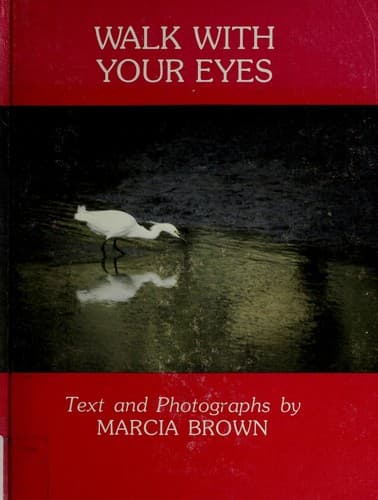 Tapa de Walk with your eyes