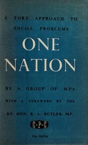 Tapa de One nation