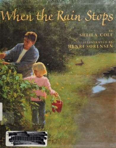 Tapa de When the rain stops