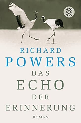 Tapa de Das Echo der Erinnerung