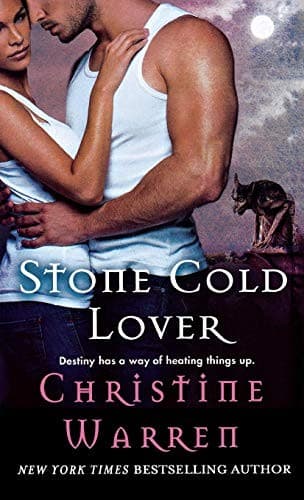 Tapa de Stone Cold Lover