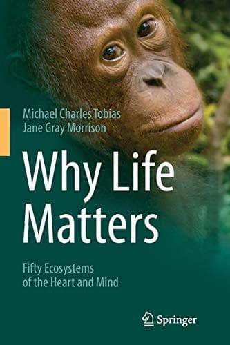 Tapa de Why Life Matters