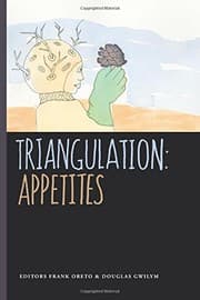 Tapa de Triangulation