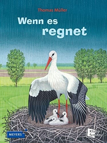 Tapa de Wenn es regnet